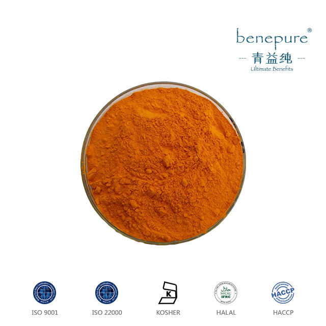 Coenzyme Q10/Ubidecarenone