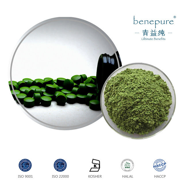 Chlorella Powder