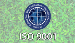 ISO 9001