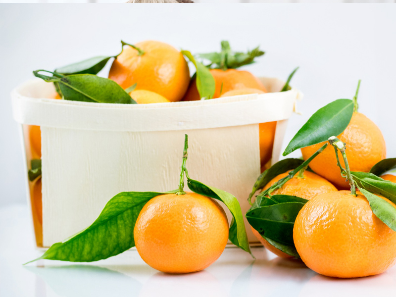 tangerines-DIOSMINSupplier-benepure-com