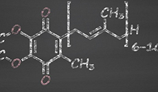 Coenzyme Q10 (CoQ10): An In-Depth Overview of its Roles, Benefits, and Risks