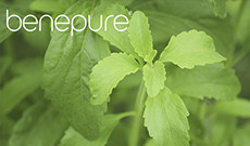 Stevia, the natural alternative to sugar