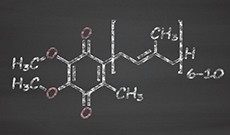 Coenzyme Q10 (CoQ10): An In-Depth Overview of its Roles, Benefits, and Risks