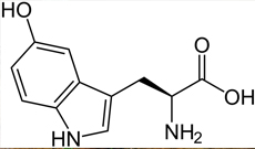 Supplyments Introduction：5-HTP