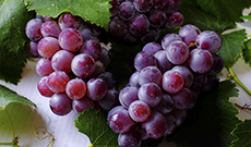 Grape Skin Extract - Natural Food Colouring