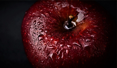 Apple Polyphenols